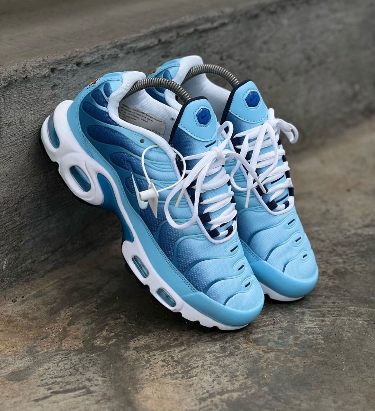 Tn Azul Caballeros