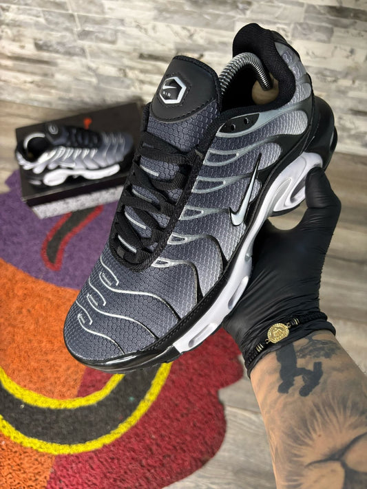 Tn Caballeros
